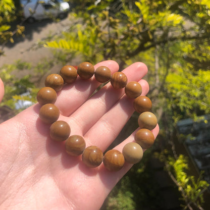 Petrified Wood Beaded 12mm Stretch Bracelet | Crystals, Fairycore, Witch, Healing, Psychic, Spiritual, Magic Jewellery