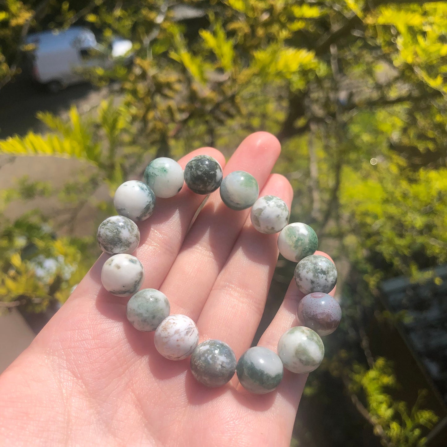 Tree Agate Beaded 12mm Stretch Bracelet | Crystals, Fairycore, Witch, Healing, Psychic, Spiritual, Magic Jewellery