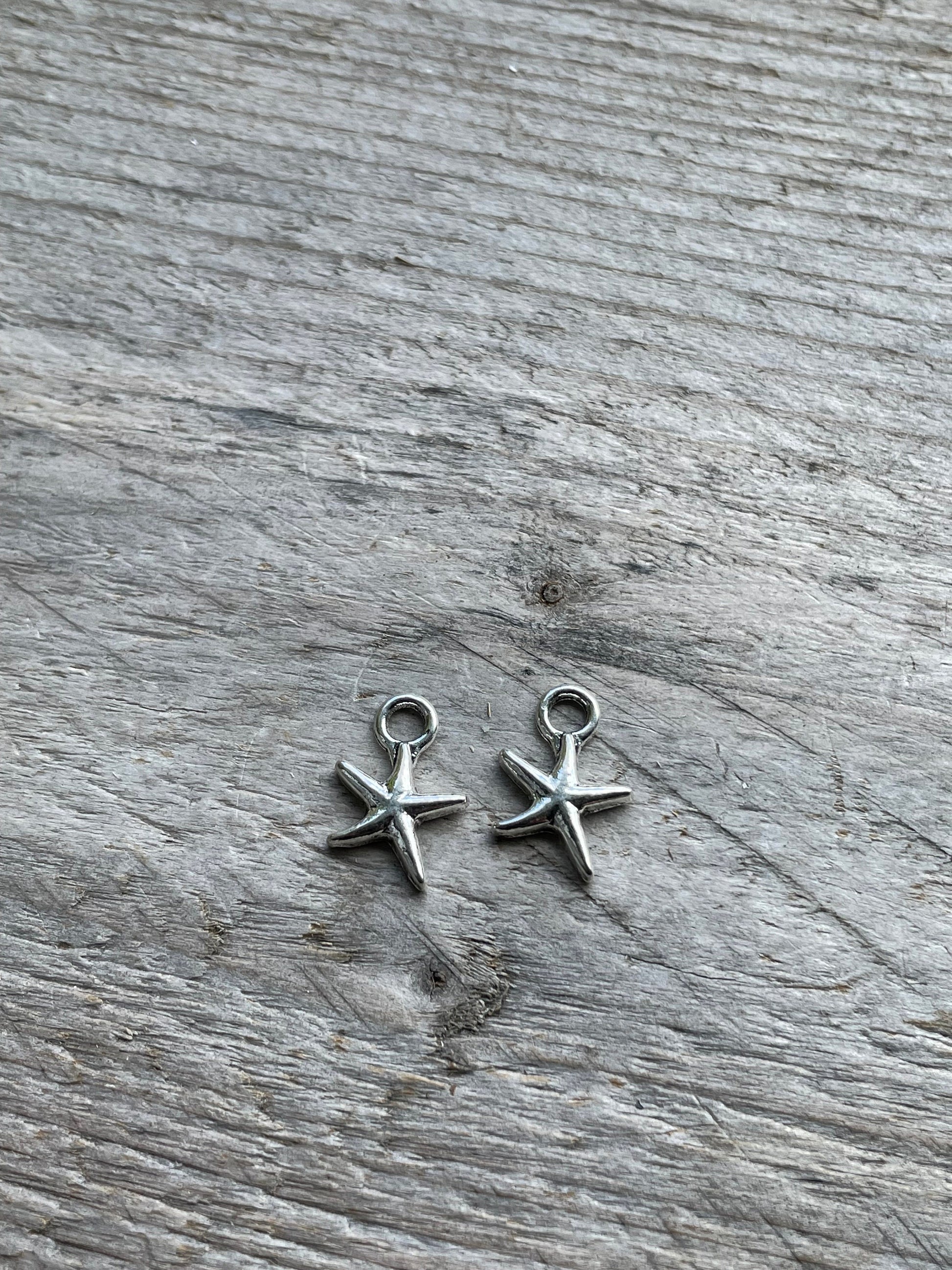 Starfish 17x11mm silver