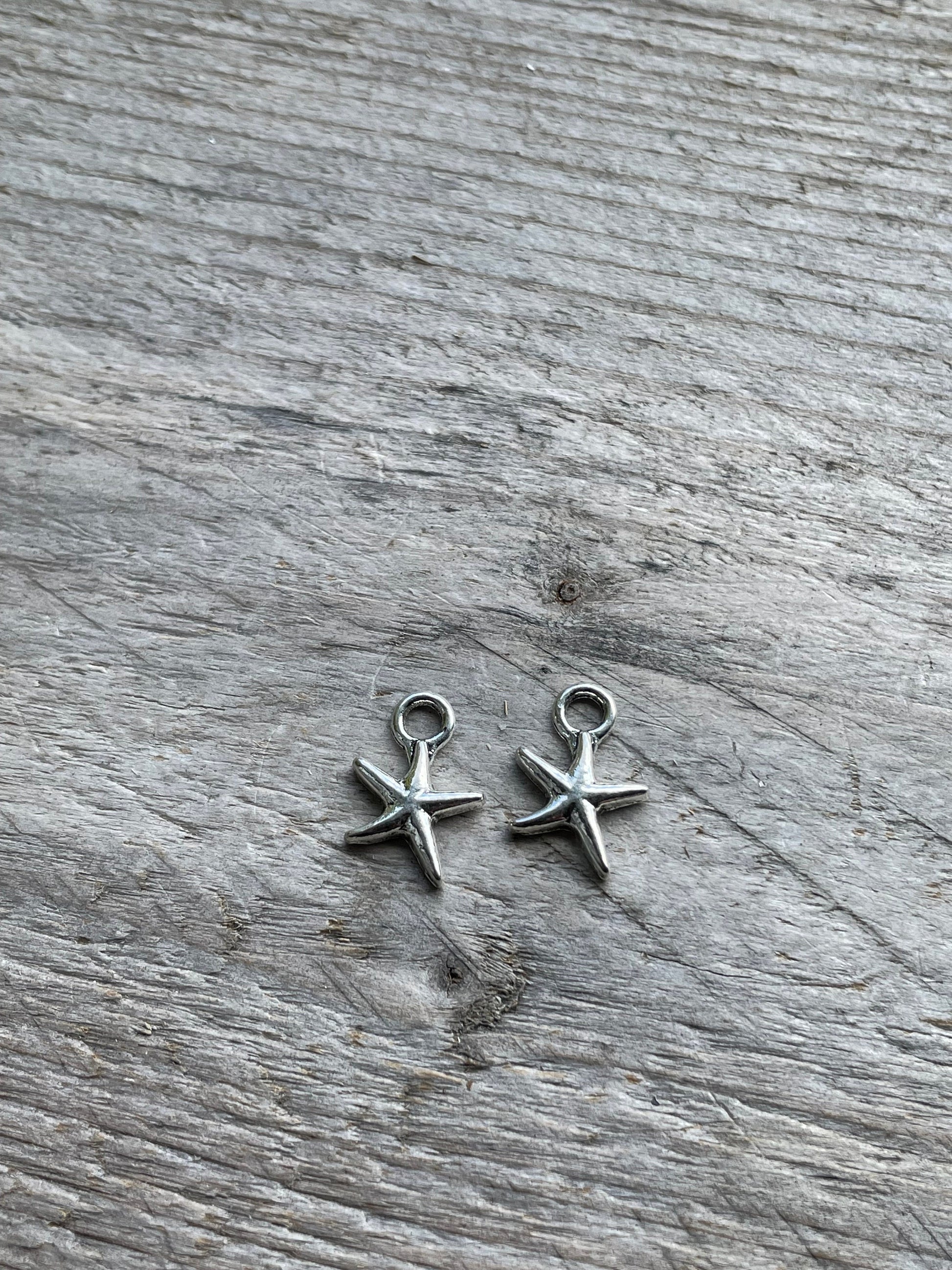 Starfish 17x11mm silver