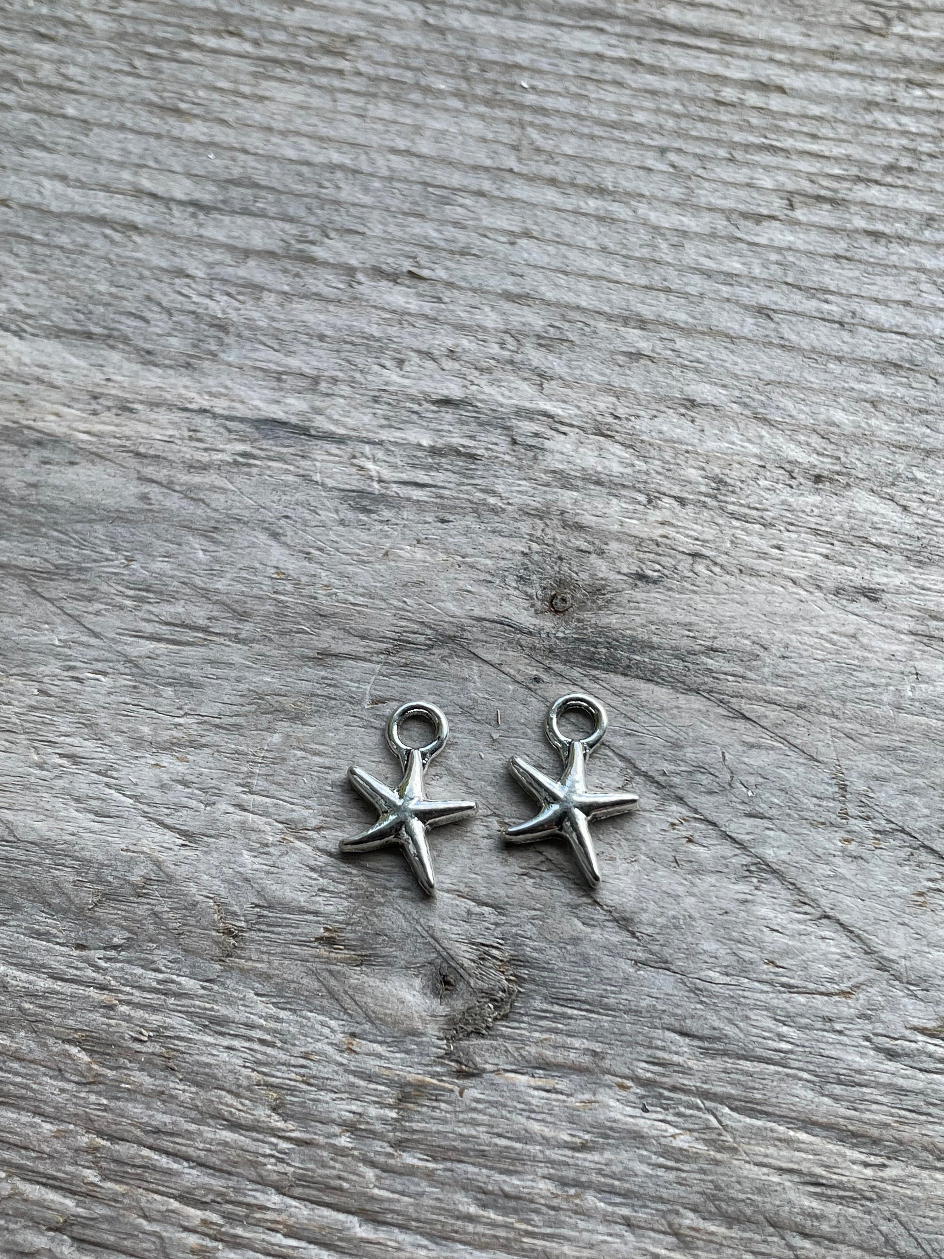 Starfish 17x11mm silver